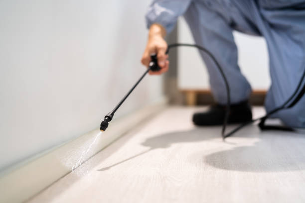 Licensed Mosquito Control service in Girard, IL - Show Me Pest Control