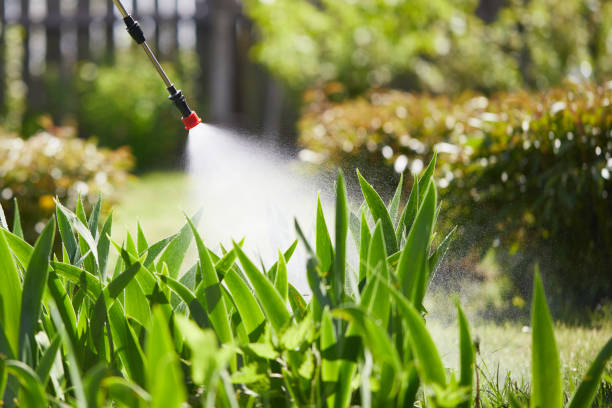 24/7 Emergency Mosquito Control experts in Girard, IL