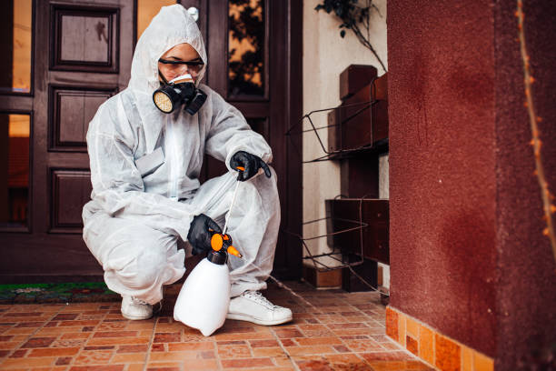 Reliable Mosquito Control contractor in Girard, IL by Show Me Pest Control