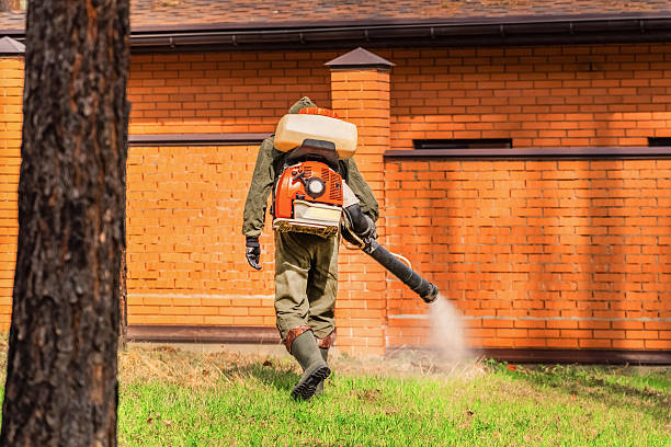 Top rated local Mosquito Control specialists in Girard, IL
